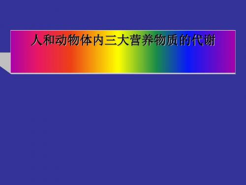 人和动物体内三大营养物质的代谢ppt10 北师大版