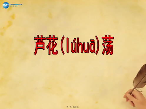 八年级语文上册 2 芦花荡课件 新人教版