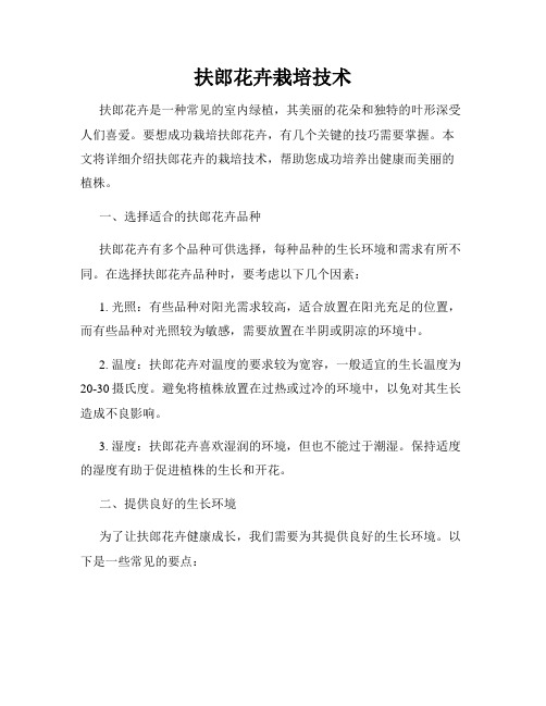 扶郎花卉栽培技术