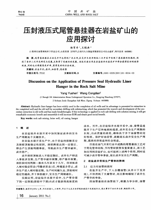 压封液压式尾管悬挂器在岩盐矿山的应用探讨