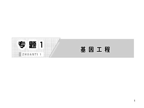 精品人教版高中生物必修3：专题1《基因工程的应用》课件