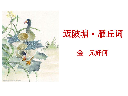 18.迈陂塘·雁丘词PPT