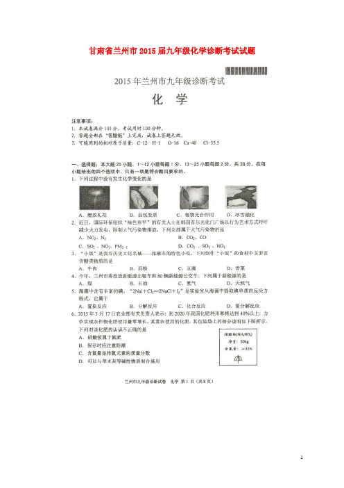 甘肃省兰州市九年级化学诊断考试试题(扫描版)