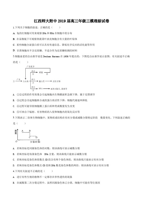 【全国百强校】江西省南昌市师范大学附属中学2019届高三三模理综生物试题(原卷版)