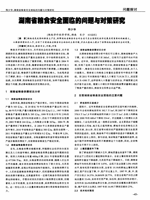 湖南省粮食安全面临的问题与对策研究