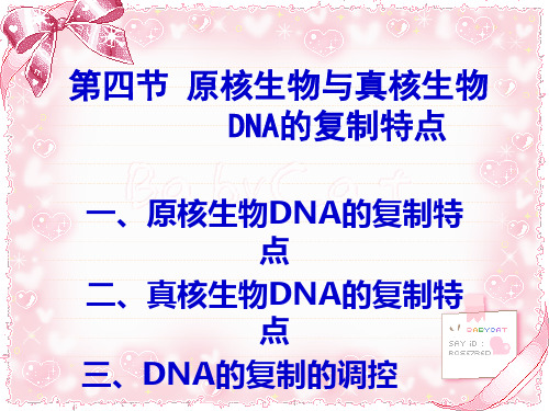 原核生物与真核生物DNA复制的特点