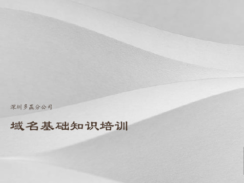 互联网域名基础知识教案