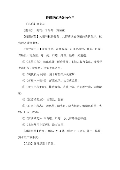 野菊花的功效与作用_0