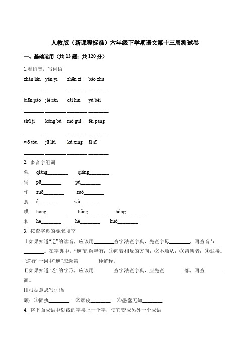 【精品】六年级下册语文第十三周测试卷∣人教新课标(含解析)