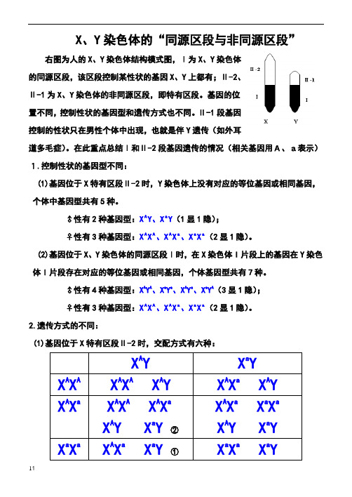 、y染色体的“同源区段与非同源区段”