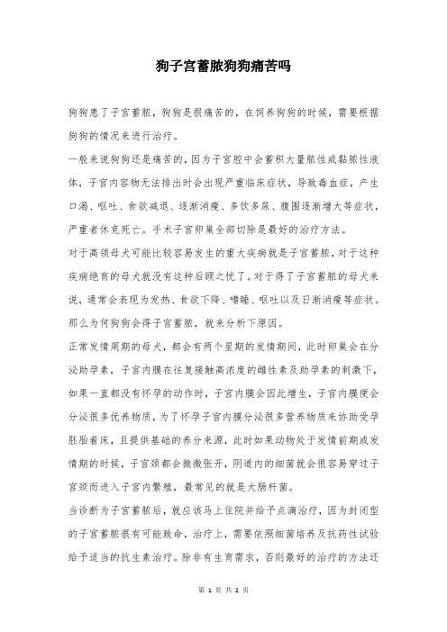 狗子宫蓄脓狗狗痛苦吗