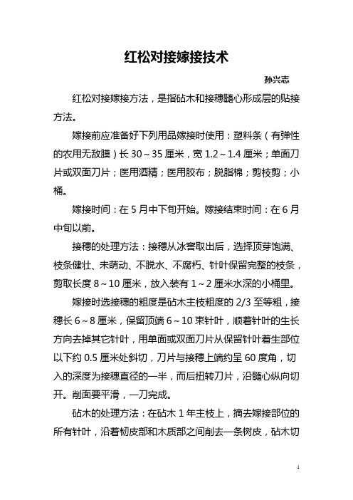 红松对接嫁接技术