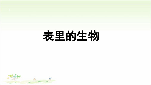 六年级下册语文ppt-表里的生物-优秀课件-人教部编版