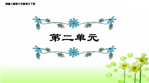 部编人教版六年级语文下册专项复习第2单元复习