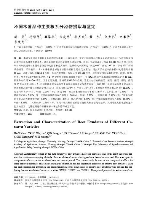 不同木薯品种主要根系分泌物提取与鉴定
