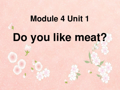 《Do you like meat》课件PPT文档