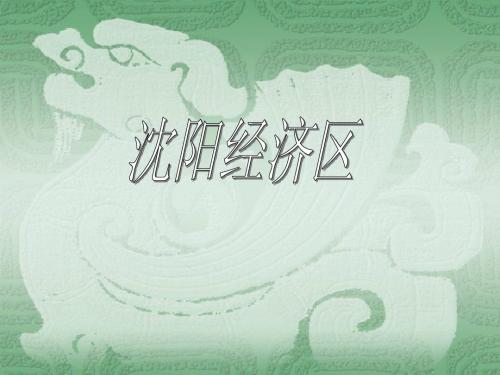 沈阳经济区