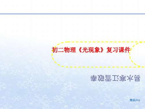 初二物理《光现讲义象》复习课件