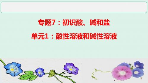 仁爱课标版九年级化学下册专题七单元1 酸性溶液和碱性溶液(共20张PPT)
