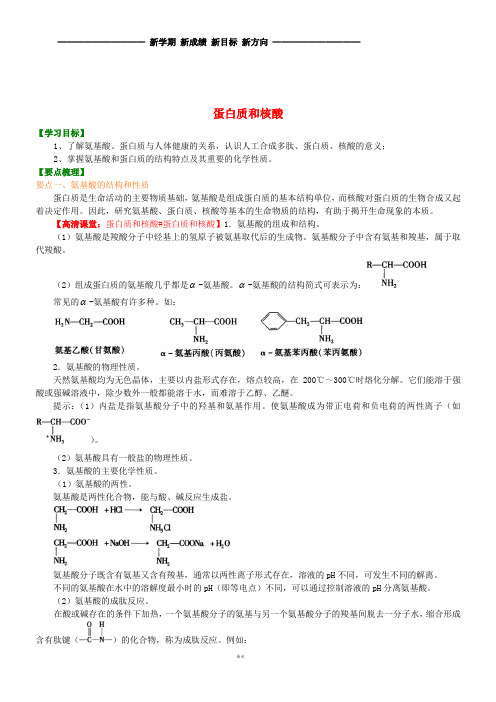高中化学 蛋白质和核酸(基础)知识讲解学案 新人教版选修5