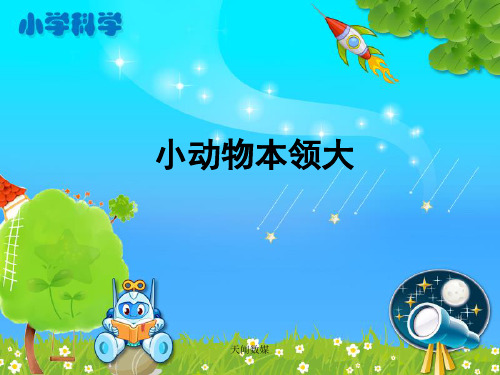 人教部编版 科学 三年级 《小动物本领大》教学课件