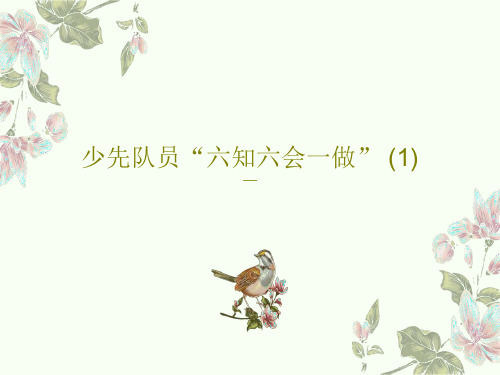 少先队员“六知六会一做” (1)PPT文档25页