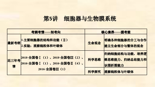 新高考生物(人教版全国Ⅰ)复习必修一第二单元细胞的基本结构与物质运输 第5讲
