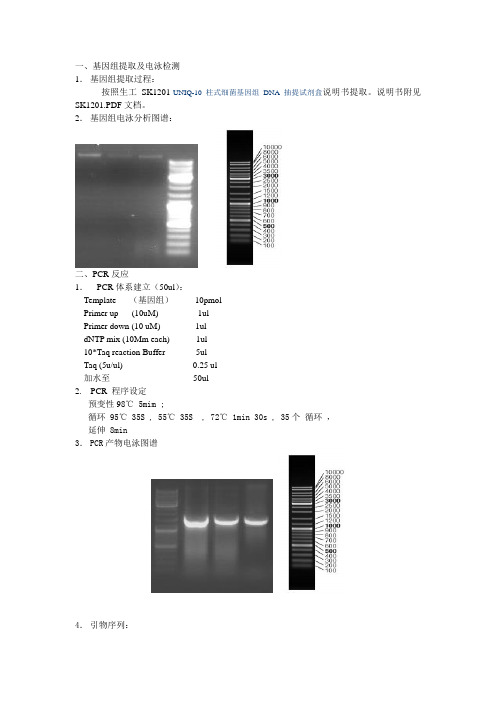 16SrDNA+直接测序+鉴定实验过程