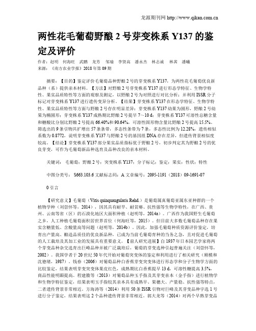 两性花毛葡萄野酿2号芽变株系Y137的鉴定及评价