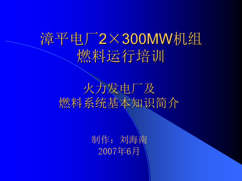 火力发电厂及燃料系统基本知识简介