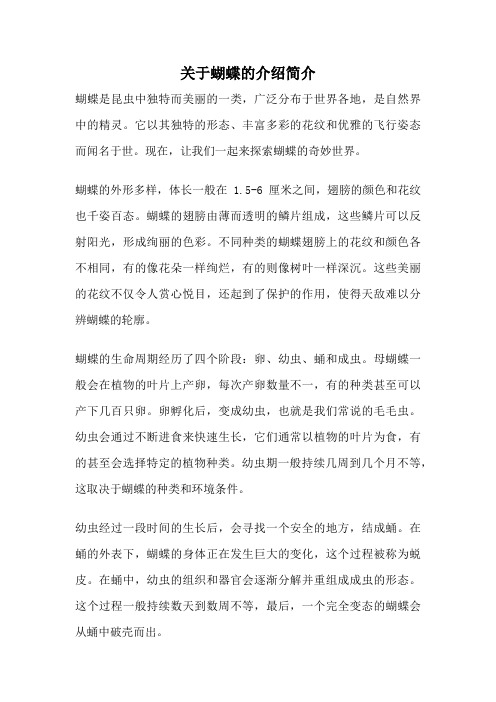 关于蝴蝶的介绍简介