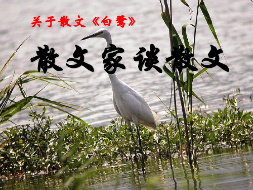 《散文家谈散文》2 精选优质课件