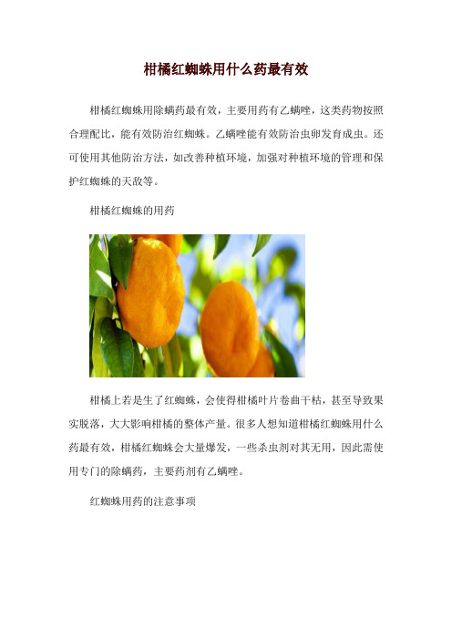 柑橘红蜘蛛用什么药最有效
