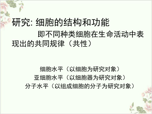 细胞的基本功能版PPT.