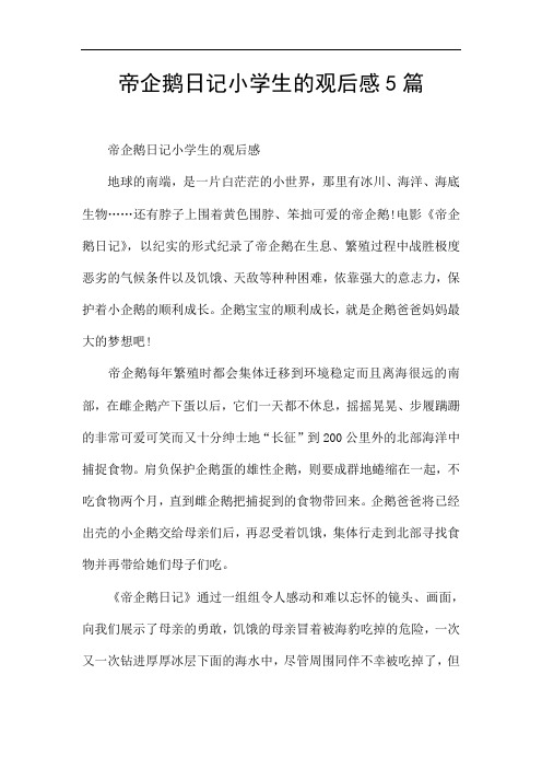 帝企鹅日记小学生的观后感5篇
