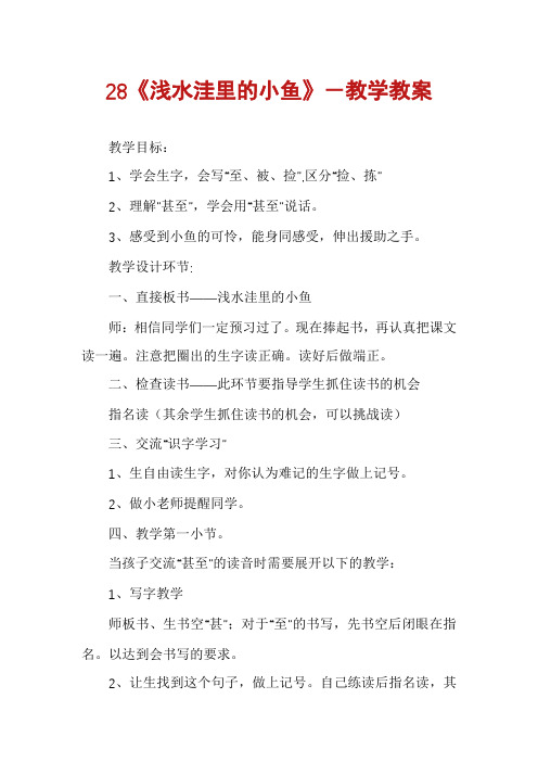 28《浅水洼里的小鱼》-教学教案