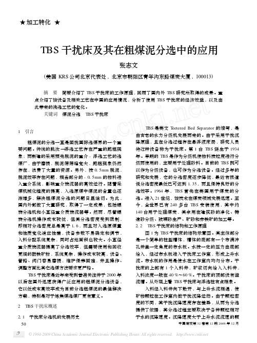 TBS干扰床及其在粗煤泥分选中的应用