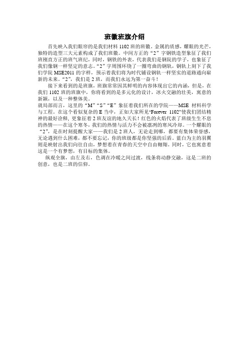 班徽班旗介绍