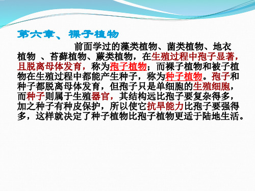 《裸子植物的主要特征》ppt实用课件