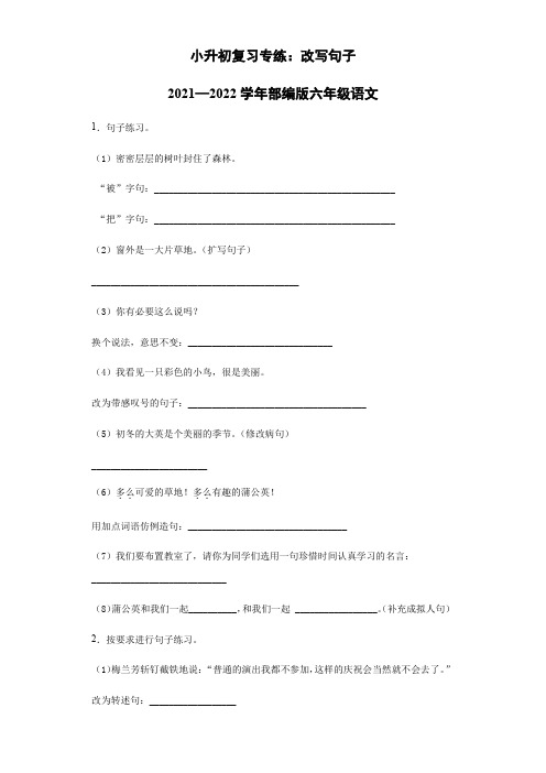 小升初复习专练：改写句子六年级语文