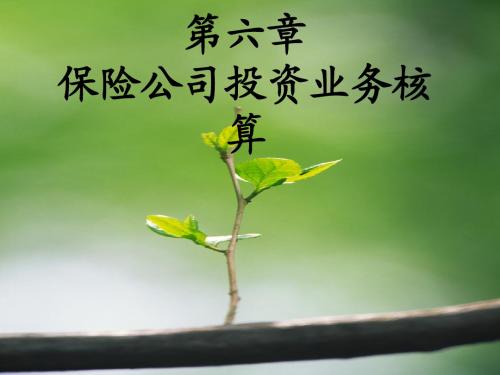 保险公司会计课件 第6章