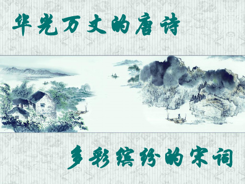 川教版-历史-七年级下册-第18课唐诗与宋词课件6
