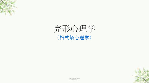 完形心理学课件