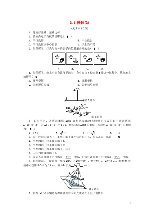 九年级数学下册 第3章 三视图与表面展开图 3.1 投影(2)练习 (新版)浙教版