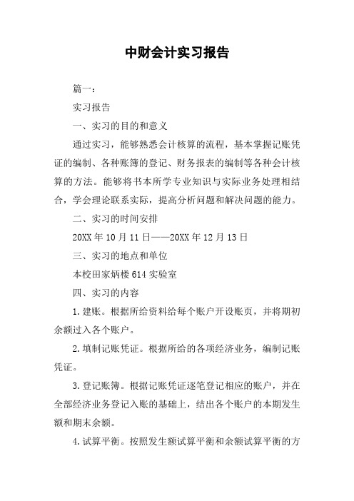 中财会计实习报告