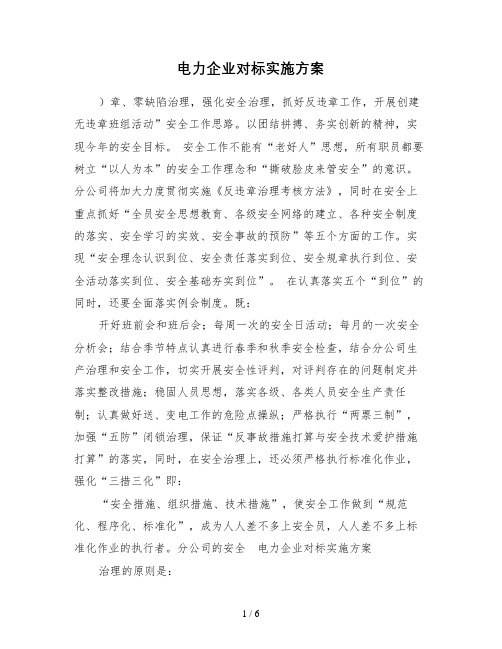 电力企业对标实施方案