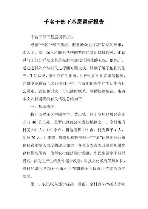 千名干部下基层调研报告