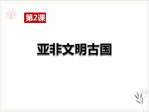 亚非文明古国世界古代史课件PPT