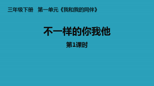 《不一样的你我他》PPT课件(第1课时)2021课件PPT