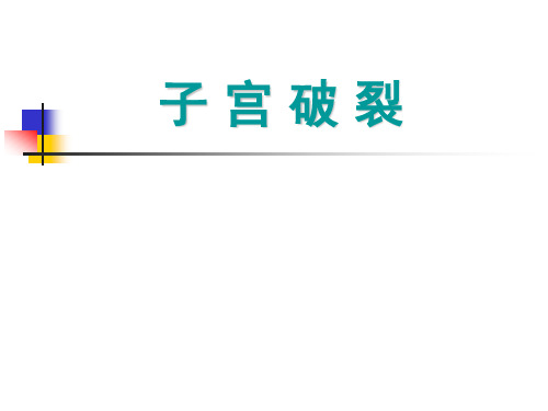 《子宫破裂》PPT课件